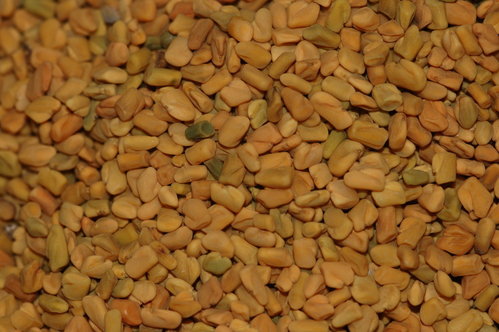 Bockshornklee, Samen, ganz 5kg