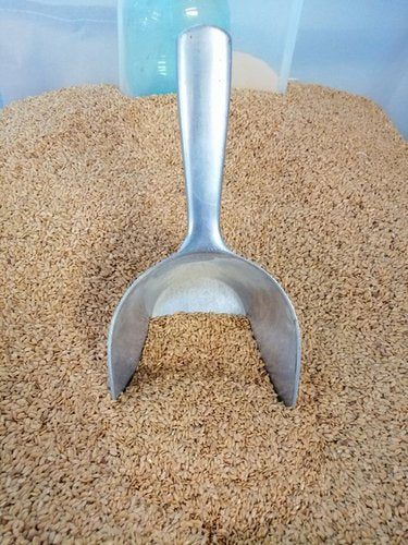 Leinsamen, Gold - Premium Qualität 3 kg