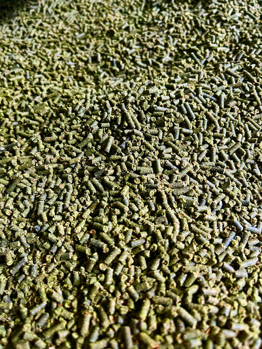 Leberkur Pellets Mariendistel Artischocke für Pferde