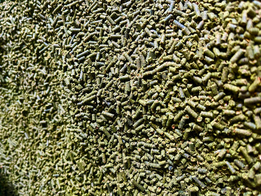 Leberkur Pellets Mariendistel Artischocke für Pferde