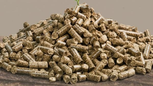 Verdauungsregulierende  Pellets + Leinöl 3 kg (Vakuumbeutel) Topseller!