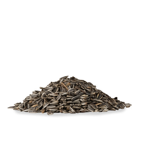Sonnenblumenkerne, ungeschält, ganz 7,5 kg